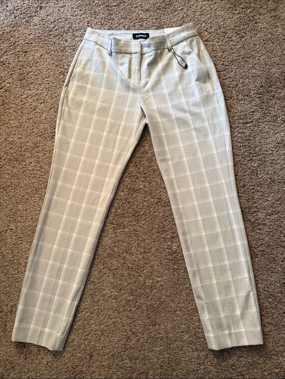 Express Columnist Pants size 6L